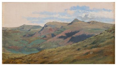Rosa BONHEUR (1822-1899) Paysage de montagne Huile sur papier marouflé sur toile,...
