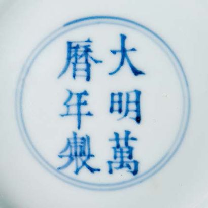 CHINE - EPOQUE KANGXI (1662 - 1722) Paire de bols en porcelaine décorée en bleu sous...