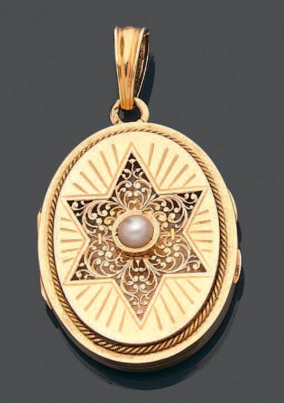 null Oval medallion pendant in yellow gold 750 thousandths, the front openwork with...