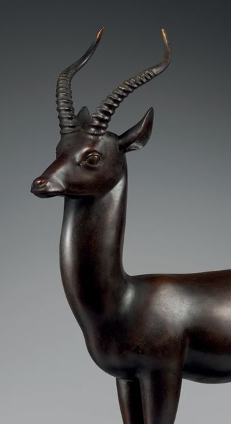 Armand Petersen (1891-1969) Antilope Kob ou cobe
Épreuve en bronze à patine brune...