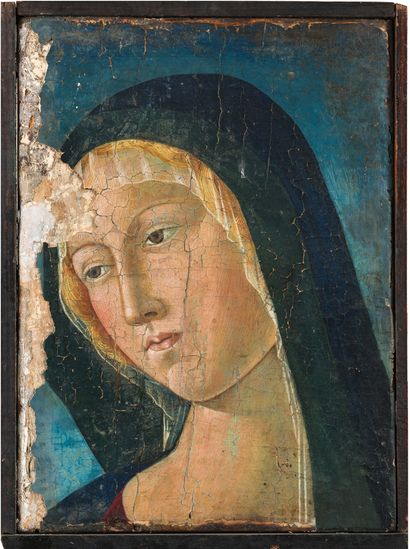 NEROCCIO di Bartolommeo Landi (Dans le Goût de) Sienne 1447-id.; 1500 Tête de la...
