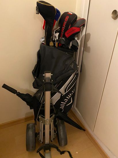 null 
*Cart case and twelve golf clubs.
