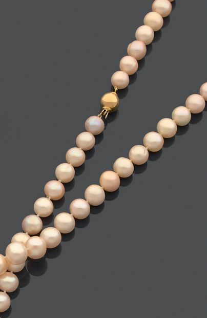 null * Necklace of eighty-two cultured pearls in fall, the clasp ball in yellow gold...