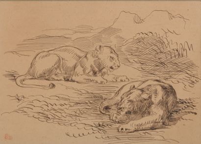 Eugène DELACROIX (1798 - 1863) Lionnes couchées, vers 1842. Dessin à l'encre, porte...