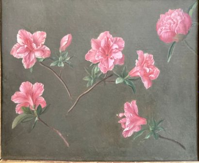 École française du XIXe siècle. Azalées roses sur fond gris.
Huile sur carton.
H....