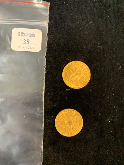 null Deux pièces d'or de cinq dollars (1882 et 1889)

(usures)

Poids: 16.67 gr.