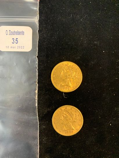 null Deux pièces d'or de cinq dollars (1882 et 1889)

(usures)

Poids: 16.67 gr.
