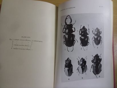 null The fauna of India, vol. 4 (coléoptères lucanidae et passalidae)
G.J. Arrow,...