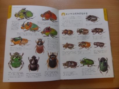 null Un ouvrage de détermination sur les coléoptères
Langue japonaise