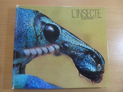 null Un lot d'ouvrages et de fascicules sur les insectes :
-	Rutilans (5 exemplaires)...