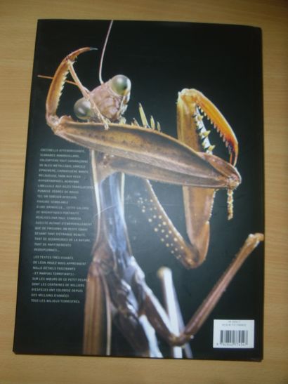 null Insectes
Ed. du Chêne, 183 pages, 2003