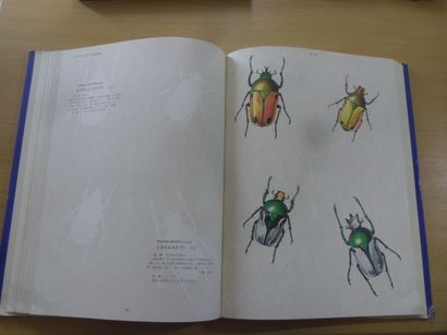 null Beautiful beetles of the world
255 pages, vers 1970