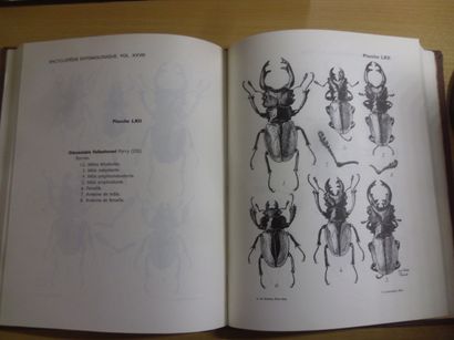 null Catalogue illustré des lucanidés du globe
Dr R. Didier, E. Séguy, 112 planches...