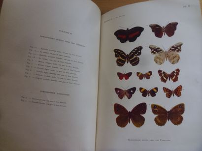 null Les insectes

L. Félix Henneguy, 804 pages, 1904