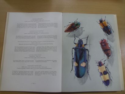 null Der käfer
Ewald Reitter, 206 pages, 1960