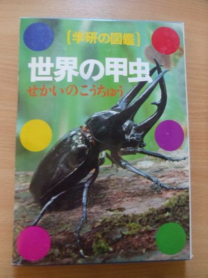 null Un ouvrage de détermination sur les coléoptères
Langue japonaise