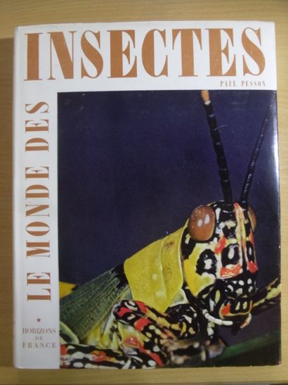 null Le monde des insectes
Paul Pesson, Horizons de France, 206 pages, 1958