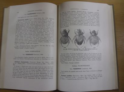 null Faune de France - 63 Coléoptères scarabeidés
R. Paulian, 298 pages, 1959