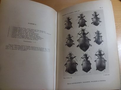 null Mémoires du Muséum National d'Histoire Naturelle
Dr René Jeannel, 240 pages...