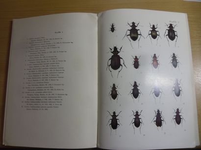 null Insecta japonica (carabidae) avec planches
Takehiko Nakane, 98 pages, 1962