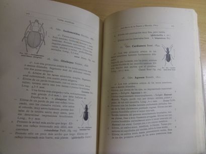 null Tablas analiticas para la clasificacion de los coleopteros de la peninsula iberica
Jose...