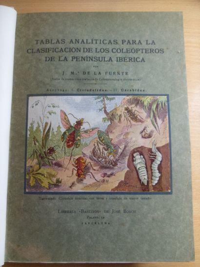 null Tablas analiticas para la clasificacion de los coleopteros de la peninsula iberica
Jose...