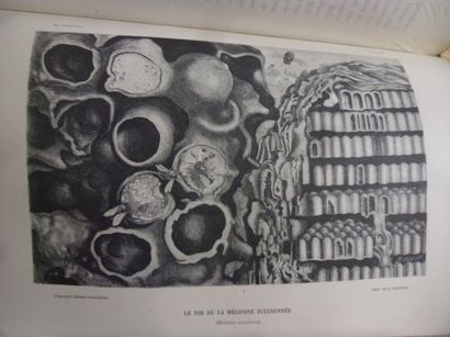 null Métamorphoses des insectes
Emile Blanchard, 715 pages, 1868