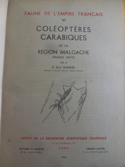 null Faune de l'empire français, Coléoptères carabiques de la région malgache
Dr....