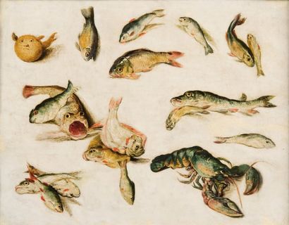 JAN BRUEGHEL II LE JEUNE (ANVERS 1601-1678) Etude de divers poissons et un homard...