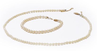 null Collier et bracelet de perles de culture choker, les fermoirs en or jaune 750...