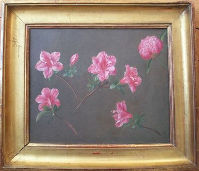 École Française du XIXe siècle Azalées roses sur fond gris
Huile sur carton.
H. 25...