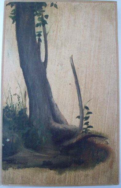 GASTINE Camille Auguste Etude d'arbre
Huile sur papier; marouflé sur toile.
H. 22,5...