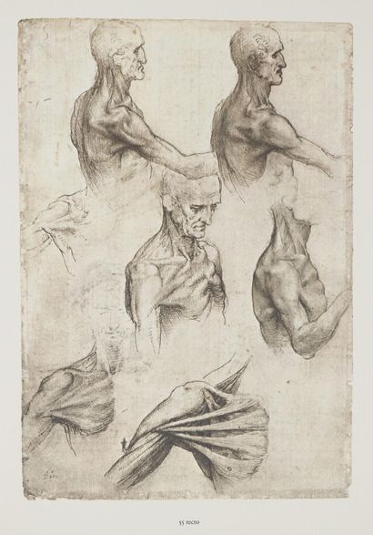 Vinci, L.da. Léonard de Vinci. Les dessins et les miscellania de la collection de... Gazette Drouot