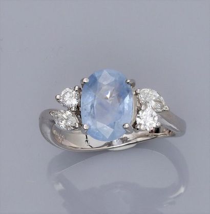 null Bague en or gris 750°/00 (18K)(18K) sertie d'un saphir ovale de 3 carats, "bleu...