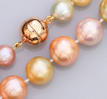   Collier de grosses perles de culture roses, blanches et gold de diamètre 12 à 14...