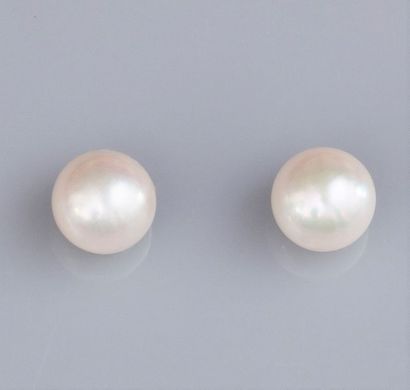 null Paire de boucles d'oreilles serties chacune d'une perle de culture Akoya. Diamètre7.5/8...