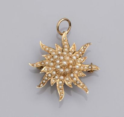 null Broche pendentif fleur en or jaune 585°/00 (14K), sertie de demi perles de culture....