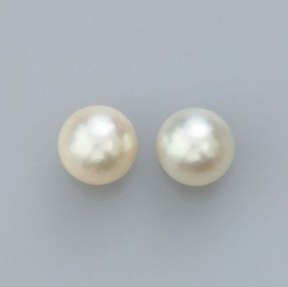   Pair of chips set with Akoya cultured pearls 6.5/7 mm diameter, stems and clasps...