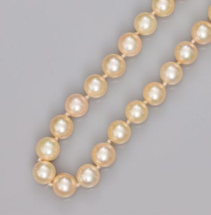   Akoya cultured pearl necklace, Japan, equal diameter 8/8.5 mm, 750°/00(18K) yellow...