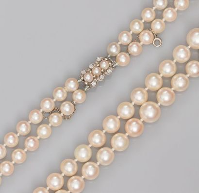   Collier deux rangs de perles de culture Akoya, Japon en chute diamètres 5 à 8.4...