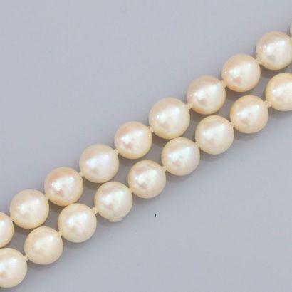 null Sautoir de perles de culture Akoya, diamètre 6.5/7 mm. Fermoir rectangulaire...