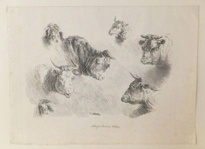 null 

DUVIVIER Ignace (1758 - 1832). Têtes d’animaux. Vers 1820. Lithographie. Épreuve...