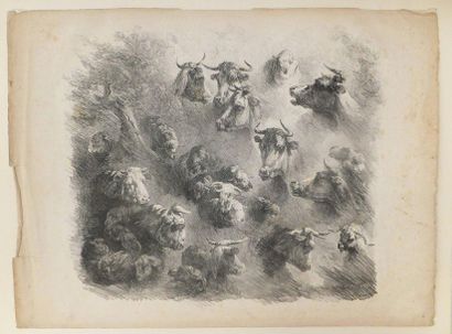 null DUVIVIER Ignace (1758 - 1832). Têtes de vaches et de moutons. Vers 1820. Lithographie....