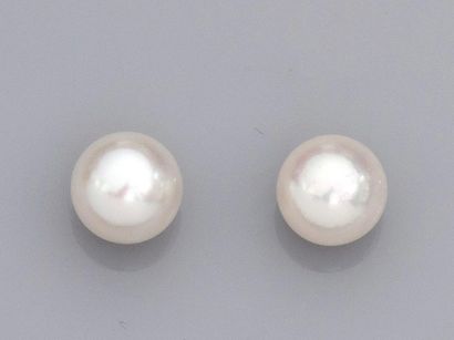 null Paire de boucles d'oreilles serties chacune d'une perle de culture Akoya. Diamètre7.5/8...