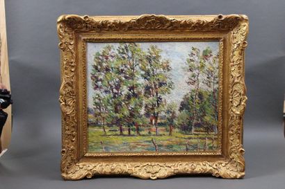 null ÉCOLE FRANÇAISE XXe siècle : « Paysage aux arbres ». Huile sur toile. Non signée....