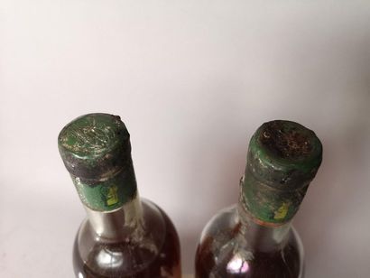 null 2 bouteilles CHÂTEAU GILETTE Demi-doux - Sauternes 1954
Etiquettes tachées,...