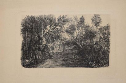 null BRESDIN Rodolphe (Montrelais 1822 † 1885 Sèvres). Le cours d’eau. 1880. Eau-forte....