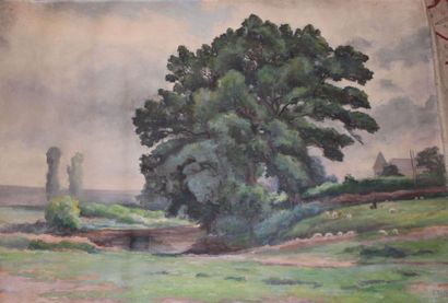 null ROUFFET Jules (1862-1931) : « Paysage à l'arbre », 1924. Huile sur toile sans...