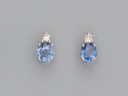 null Paire de puces en or gris 750°/00 (18K) , serties de saphirs ovales (0.20 ct...