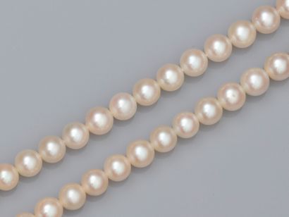 null Collier de perles de culture Akoya diamètre égal 6/6.5 mm. Fermoir fuseau ajouré...